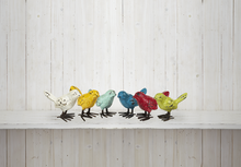 Load image into Gallery viewer, Mini Colorful Birds
