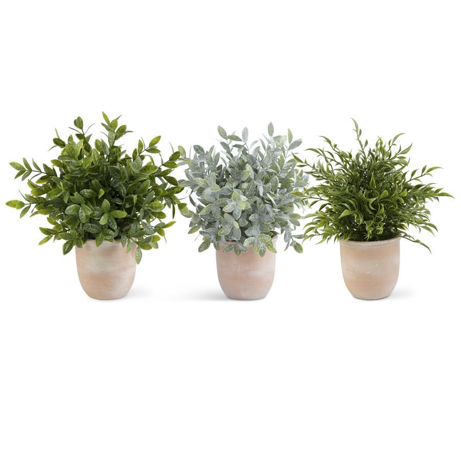 13 inch Herb in Terracotta Pot 16315B