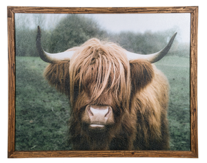 Framed Highlander Cow Wall Decor-CB188363