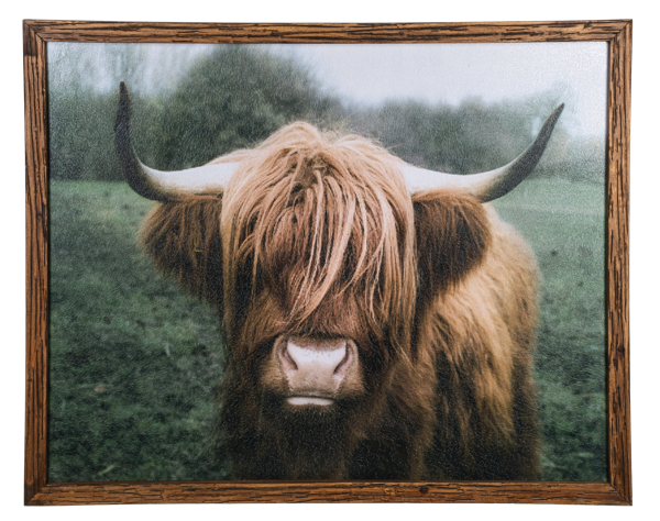 Framed Highlander Cow Wall Decor-CB188363