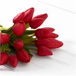 Load image into Gallery viewer, Red Mini Tulip Stem - 11399A-RD
