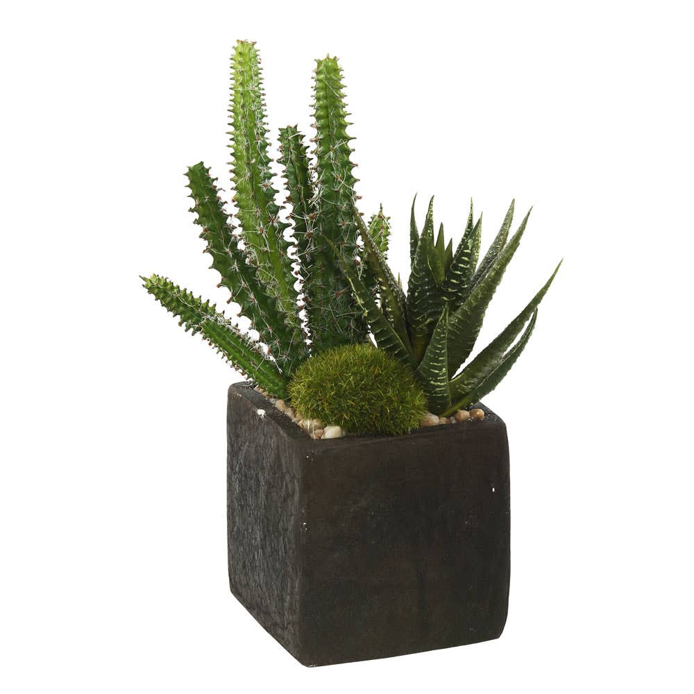 Artificial Green Succulent Arrangement