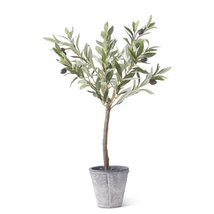 24 Inch Olive Tree w/Gray Wash Pot 16328A