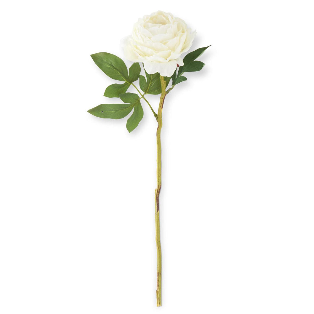 27 Inch White Peony Stem 17818B-WH