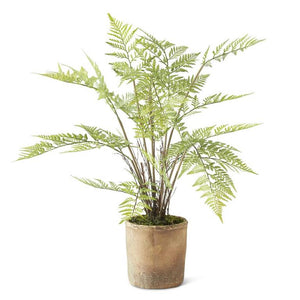 28 Inch Fern in Ceramic Pot 17950B