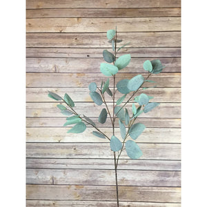 Silver Dollar Eucalyptus Stem