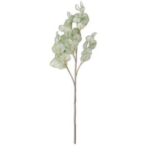 Soft Green Flat Leaf Eucalyptus Stem - 16152A