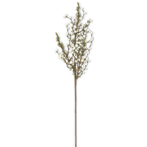 Cedar Stem with White Berries-53982D