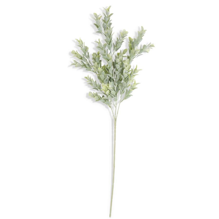 Powdered Boxwood Stem 54581A