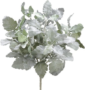 Dusty Miller Bush 12" Green 30530GR