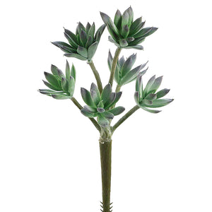 Sedum Stem GR/FS 11" CC2490GRFS