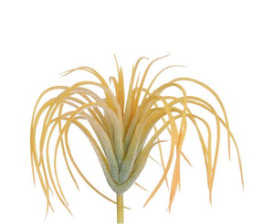 4" Tillandsia Pick Yellow CKT945YE