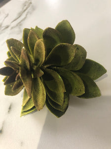 Large Green Succulent - GoldenLadderInteriors