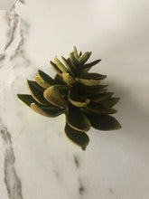 Load image into Gallery viewer, Large Green Succulent - GoldenLadderInteriors
