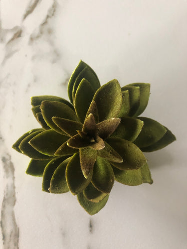 Large Green Succulent - GoldenLadderInteriors