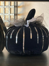 Load image into Gallery viewer, Velvet Pumpkins
