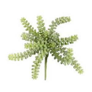 Sedum Hanging Pick 10" Light CS9524