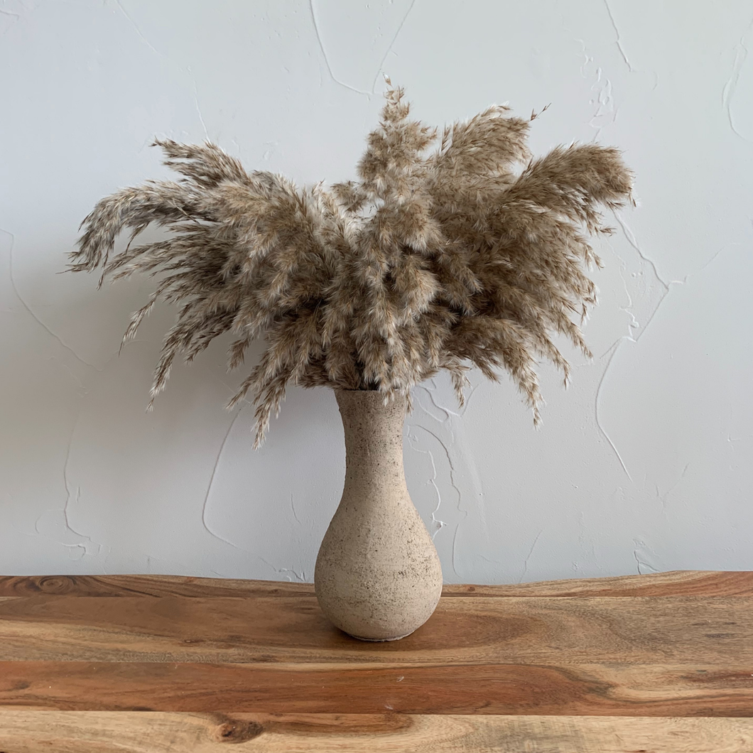 Pampas Grass, Dried floral décor
