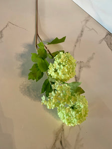 Small Green Hydrangea - GoldenLadderInteriors