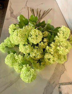 Small Green Hydrangea - GoldenLadderInteriors