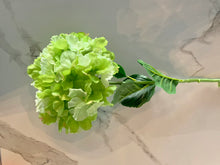 Load image into Gallery viewer, Large Green Hydrangea - GoldenLadderInteriors
