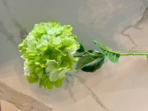 Large Green Hydrangea - GoldenLadderInteriors