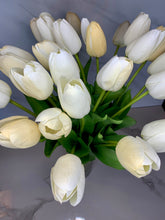 Load image into Gallery viewer, Tulips - GoldenLadderInteriors
