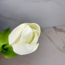 Load image into Gallery viewer, Tulips - GoldenLadderInteriors
