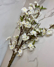 Load image into Gallery viewer, White Dogwood Branches - GoldenLadderInteriors
