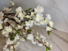 Load image into Gallery viewer, White Dogwood Branches - GoldenLadderInteriors
