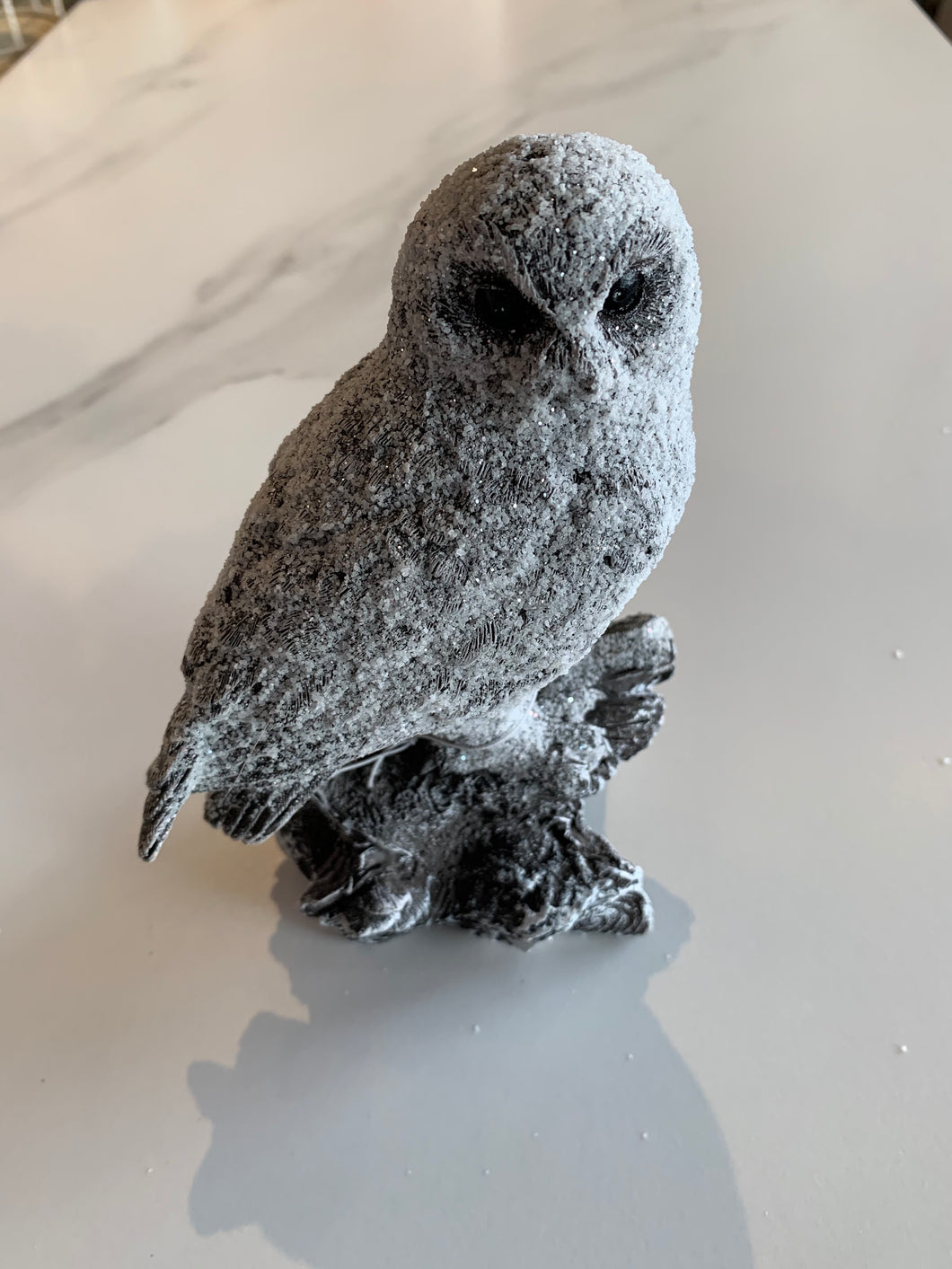 Owl - GoldenLadderInteriors