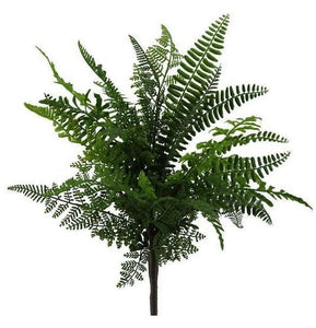 Fern Bush 18" PBF843GR