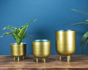 Gold Planters - GoldenLadderInteriors
