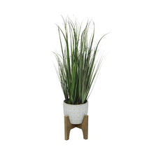 Load image into Gallery viewer, Onion Grass in 6.6&quot; Cathdral Ceramic on Stand
