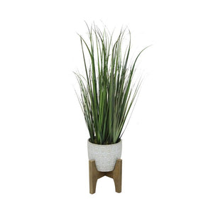 Onion Grass in 6.6" Cathdral Ceramic on Stand