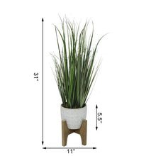 Load image into Gallery viewer, Onion Grass in 6.6&quot; Cathdral Ceramic on Stand
