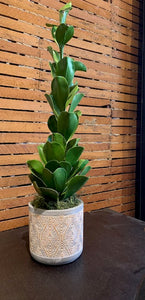 4.75" Round Cottage Meadow Pot 3105CM1CMD with tall succulent CE0022GR