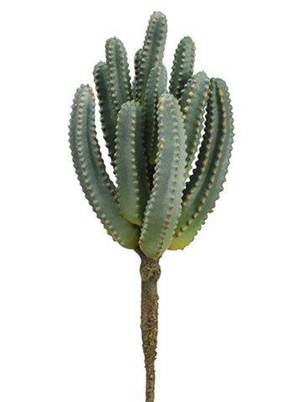 Mini Column Cactus Pick 9
